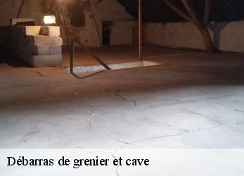 Débarras de grenier et cave  brenas-34650 SRM debarras