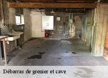 Débarras de grenier et cave  carlencas-et-levas-34600 SRM debarras