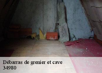 Débarras de grenier et cave  murles-34980 SRM debarras
