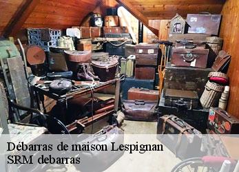Débarras de maison  lespignan-34710 SRM debarras