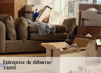 Entreprise de débarras  les-aires-34600 SRM debarras