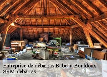 Entreprise de débarras  babeau-bouldoux-34360 SRM debarras