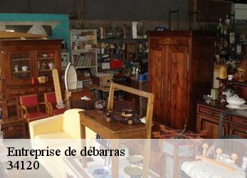 Entreprise de débarras  lezignan-la-cebe-34120 SRM debarras