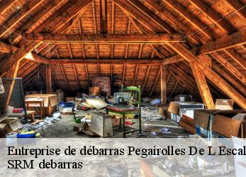 Entreprise de débarras  pegairolles-de-l-escalett-34700 SRM debarras