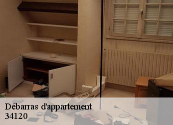 Débarras d'appartement  lezignan-la-cebe-34120 SRM debarras