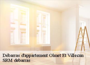 Débarras d'appartement  olmet-et-villecun-34700 SRM debarras