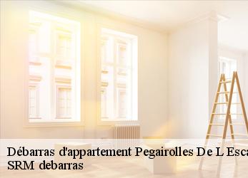 Débarras d'appartement  pegairolles-de-l-escalett-34700 SRM debarras