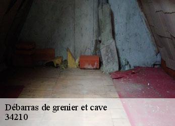 Débarras de grenier et cave  agel-34210 SRM debarras