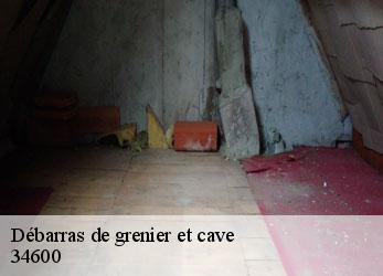 Débarras de grenier et cave  les-aires-34600 SRM debarras