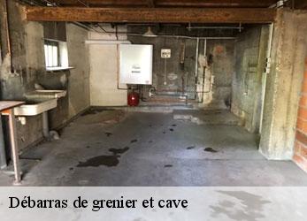 Débarras de grenier et cave  argelliers-34380 SRM debarras