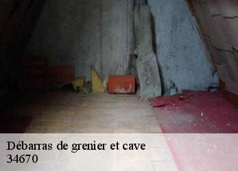 Débarras de grenier et cave  baillargues-34670 SRM debarras