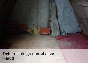 Débarras de grenier et cave  fabregues-34690 SRM debarras