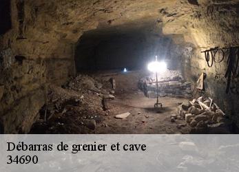 Débarras de grenier et cave  fabregues-34690 SRM debarras