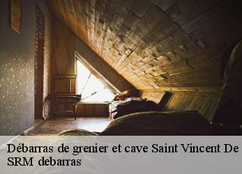 Débarras de grenier et cave  saint-vincent-de-barbeyrargu-34730 SRM debarras