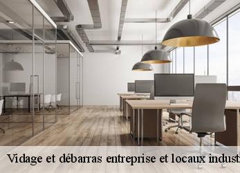 Vidage et débarras entreprise et locaux industriel  adissan-34230 SRM debarras