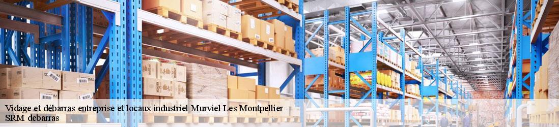 Vidage et débarras entreprise et locaux industriel  murviel-les-montpellier-34570 SRM debarras