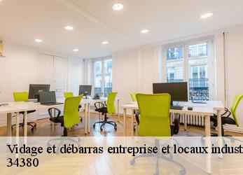 Vidage et débarras entreprise et locaux industriel  saint-martin-de-londres-34380 SRM debarras