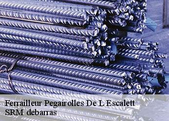 Ferrailleur  pegairolles-de-l-escalett-34700 SRM debarras