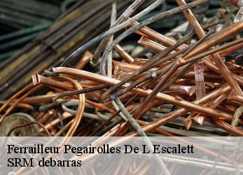 Ferrailleur  pegairolles-de-l-escalett-34700 SRM debarras