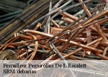 Ferrailleur  pegairolles-de-l-escalett-34700 SRM debarras