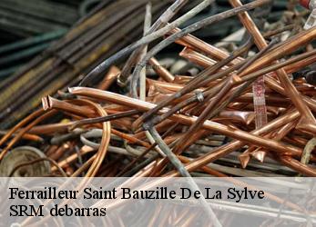 Ferrailleur  saint-bauzille-de-la-sylve-34230 SRM debarras