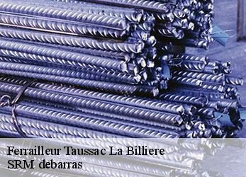 Ferrailleur  taussac-la-billiere-34600 SRM debarras